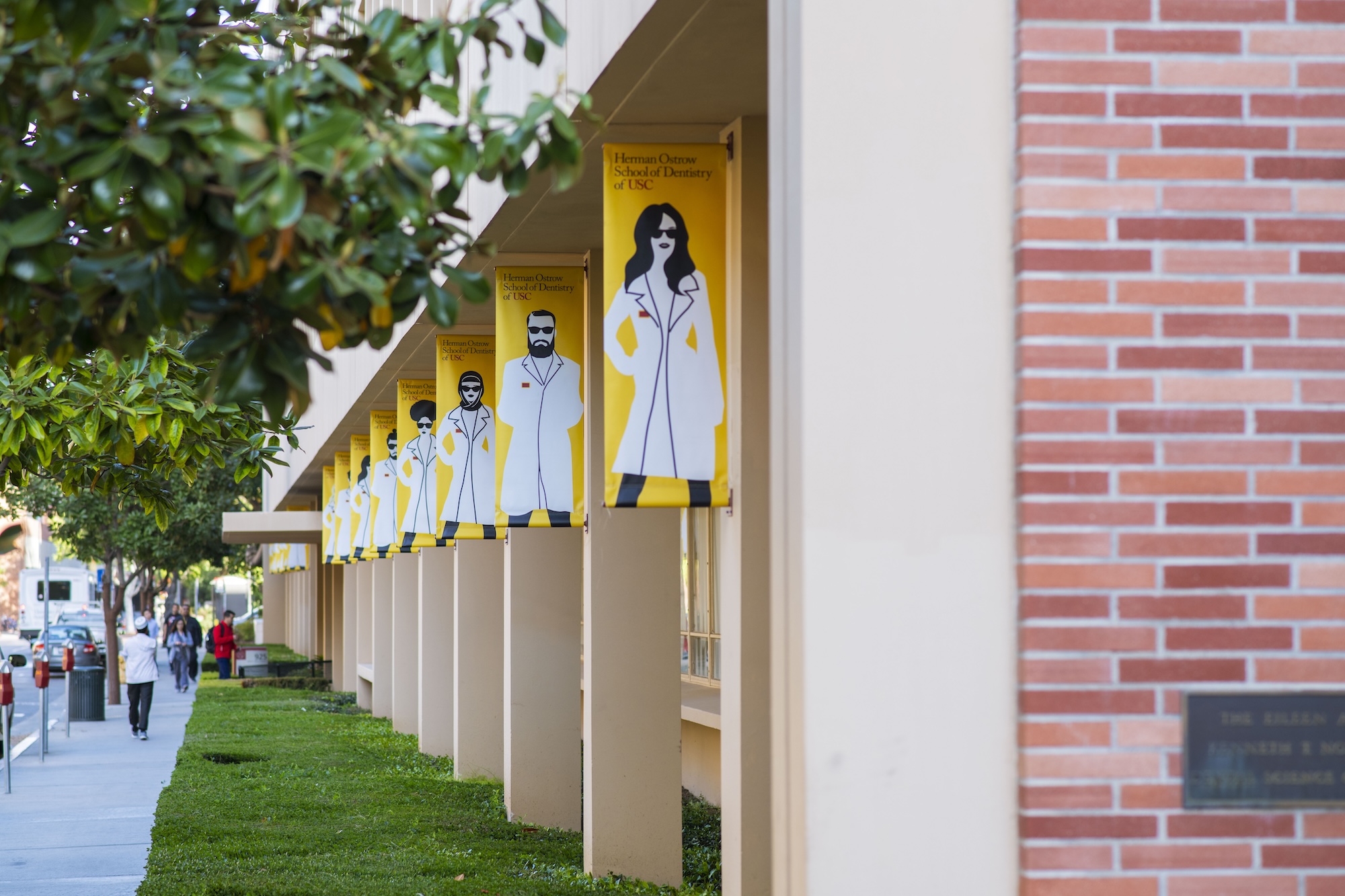 Herman Ostrow School of Dentistry